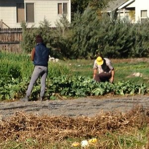 B.U.G. Farms