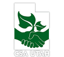 CSA-UTAH-Final