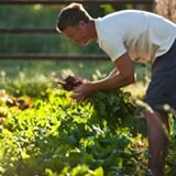 David Farm Pic